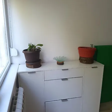 Zen Cherry House- Vikendica Na Dan Sa Bazenom1,5ha Izmedju Avale I Kosmaja * Drobnjaci