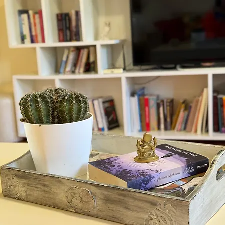 Zen Cherry House- Vikendica Na Dan Sa Bazenom1,5ha Izmedju Avale I Kosmaja