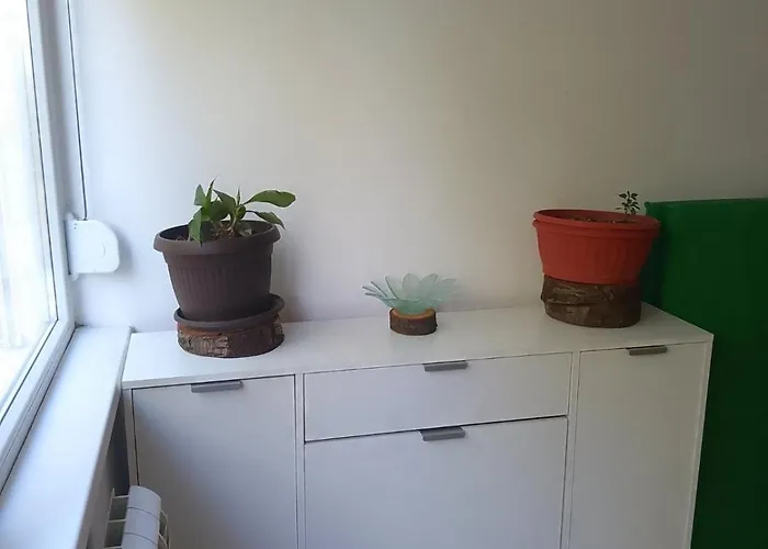 Zen Cherry House- Vikendica Na Dan Sa Bazenom1,5ha Izmedju Avale I Kosmaja * Drobnjaci